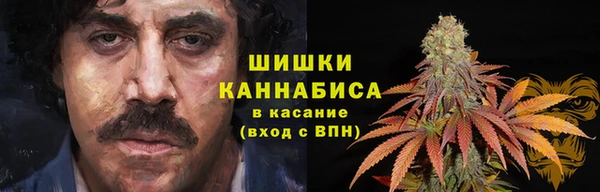 СК Новокубанск
