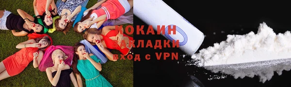 трава Новозыбков