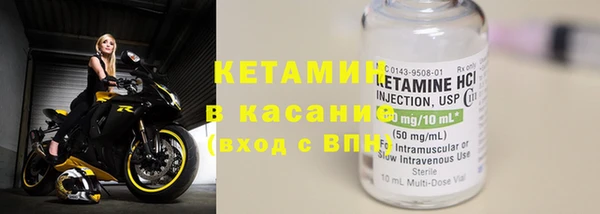 трава Новозыбков