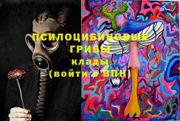 марихуана Новодвинск