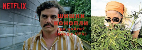 марихуана Новодвинск