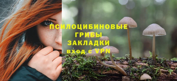 трава Новозыбков